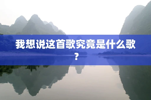我想说这首歌究竟是什么歌？