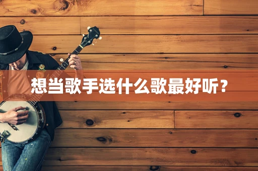 想当歌手选什么歌最好听？