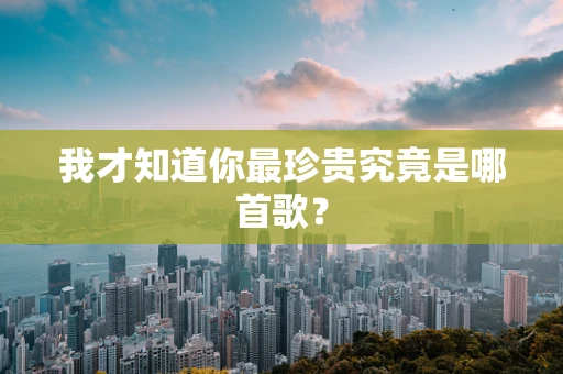我才知道你最珍贵究竟是哪首歌？