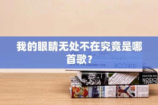 我的眼睛无处不在究竟是哪首歌？