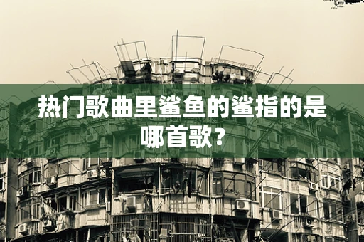 热门歌曲里鲨鱼的鲨指的是哪首歌？