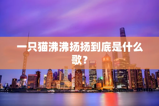 一只猫沸沸扬扬到底是什么歌？