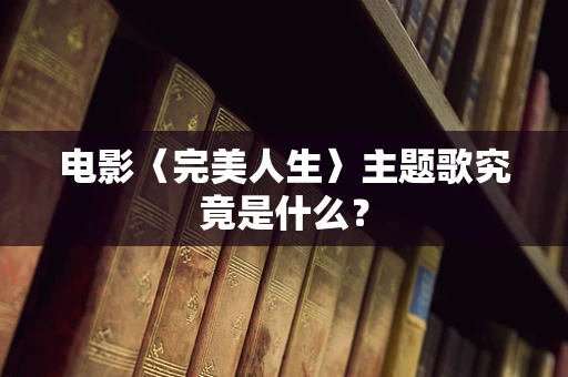 电影〈完美人生〉主题歌究竟是什么？