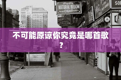 不可能原谅你究竟是哪首歌？