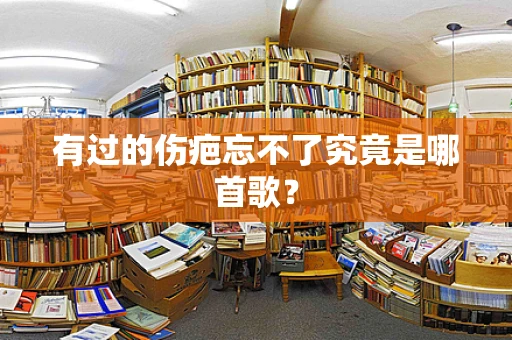 有过的伤疤忘不了究竟是哪首歌？