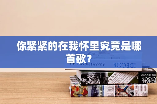 你紧紧的在我怀里究竟是哪首歌？