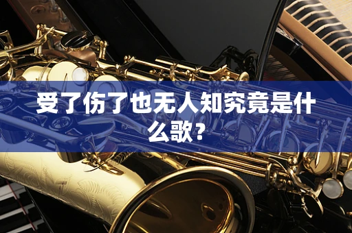 受了伤了也无人知究竟是什么歌？