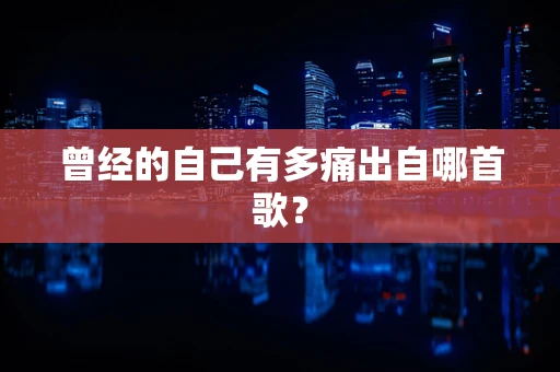 曾经的自己有多痛出自哪首歌？
