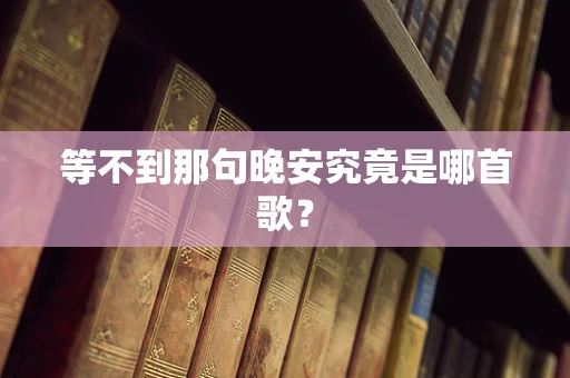 等不到那句晚安究竟是哪首歌？