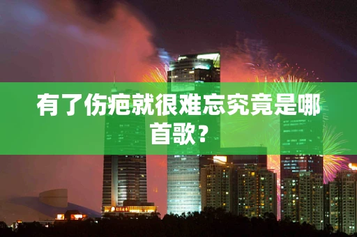 有了伤疤就很难忘究竟是哪首歌？