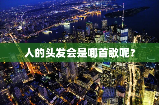 人的头发会是哪首歌呢？