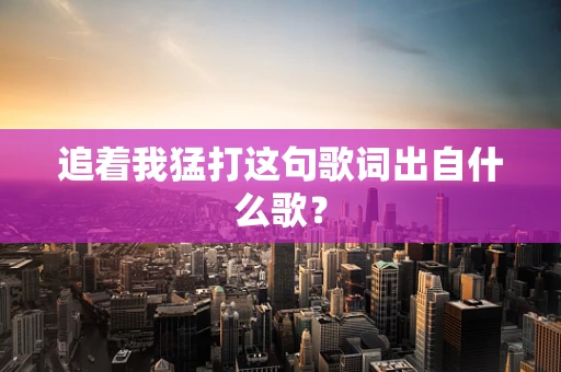 追着我猛打这句歌词出自什么歌？