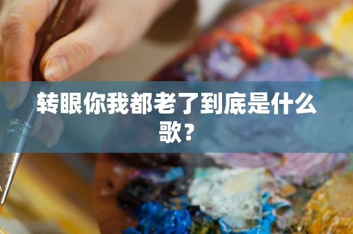 转眼你我都老了到底是什么歌？