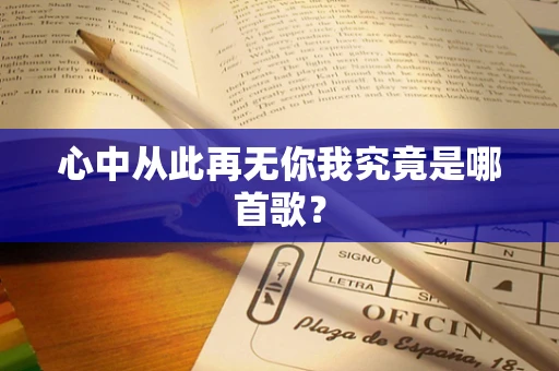 心中从此再无你我究竟是哪首歌？