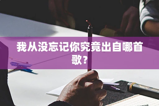 我从没忘记你究竟出自哪首歌？