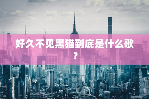 好久不见黑猫到底是什么歌？