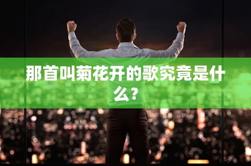 那首叫菊花开的歌究竟是什么？