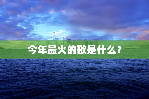 今年最火的歌是什么？