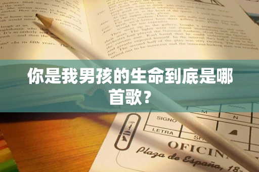 你是我男孩的生命到底是哪首歌？