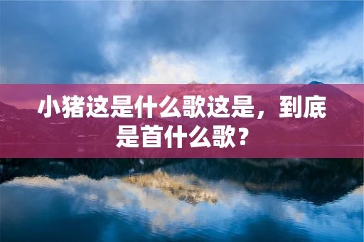 小猪这是什么歌这是，到底是首什么歌？
