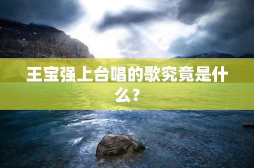 王宝强上台唱的歌究竟是什么？