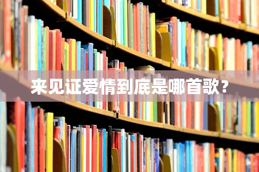 来见证爱情到底是哪首歌？