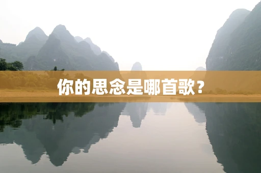 你的思念是哪首歌？
