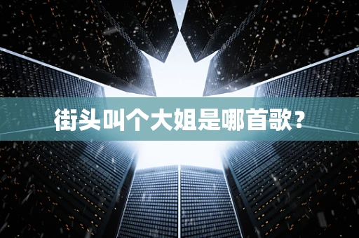 街头叫个大姐是哪首歌？