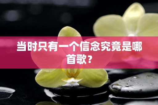 当时只有一个信念究竟是哪首歌？