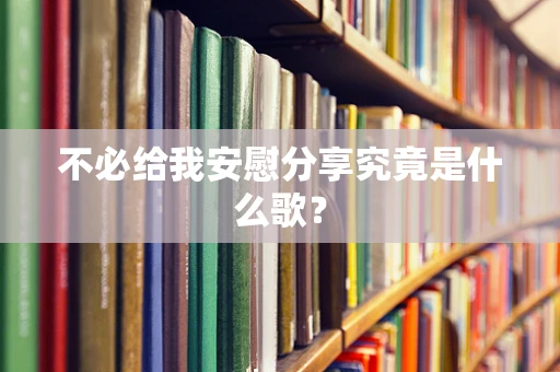不必给我安慰分享究竟是什么歌？