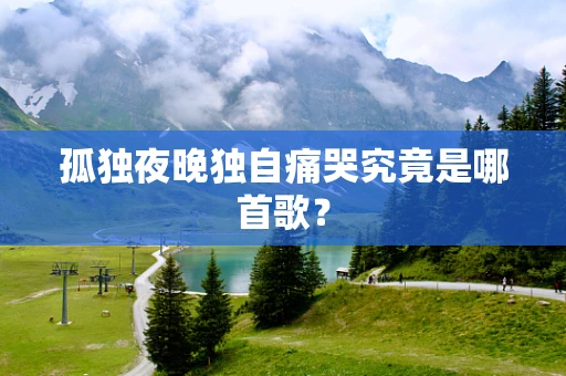 孤独夜晚独自痛哭究竟是哪首歌？