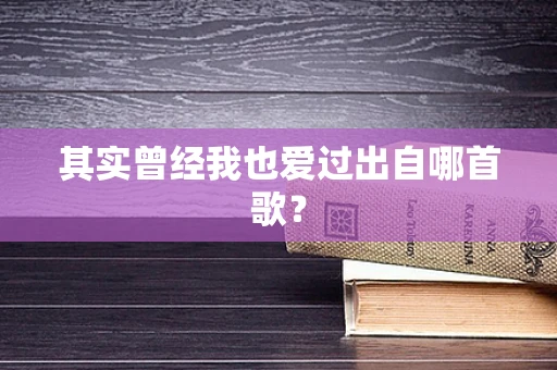 其实曾经我也爱过出自哪首歌？