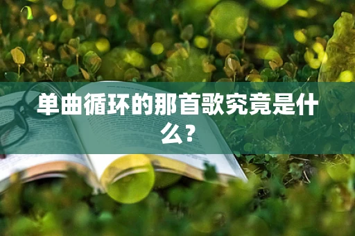 单曲循环的那首歌究竟是什么？