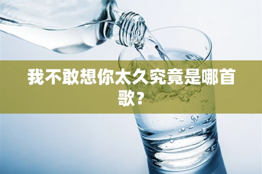 我不敢想你太久究竟是哪首歌？