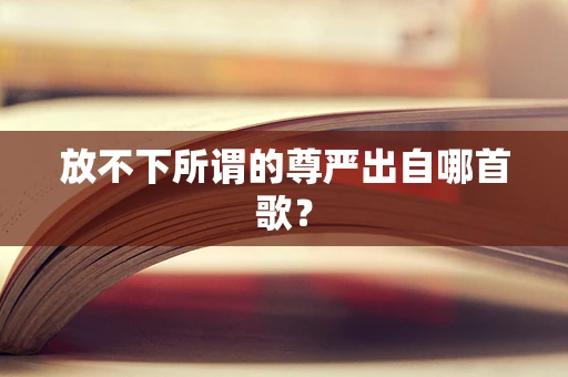 放不下所谓的尊严出自哪首歌？