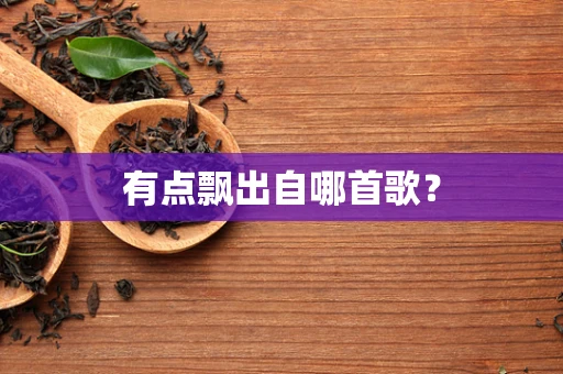 有点飘出自哪首歌？
