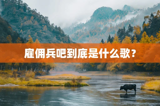 雇佣兵吧到底是什么歌？