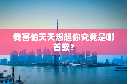 我害怕天天想起你究竟是哪首歌？
