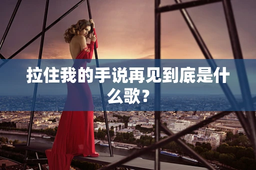 拉住我的手说再见到底是什么歌？