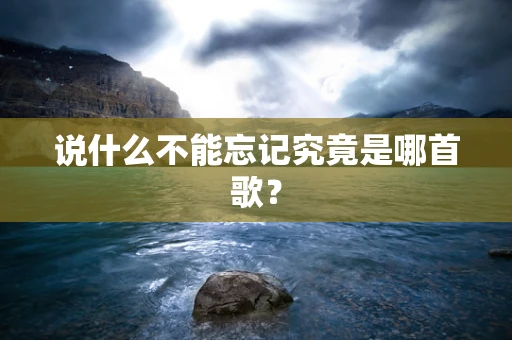 说什么不能忘记究竟是哪首歌？