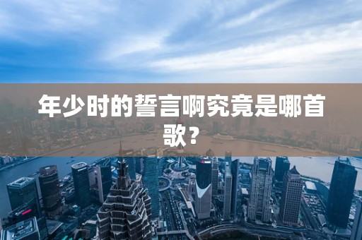 年少时的誓言啊究竟是哪首歌？