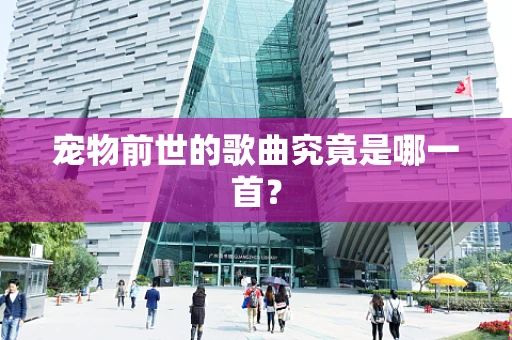 宠物前世的歌曲究竟是哪一首？
