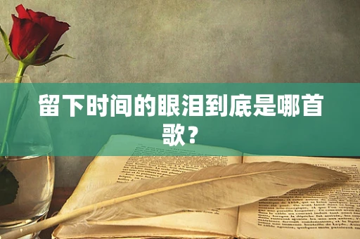 留下时间的眼泪到底是哪首歌？