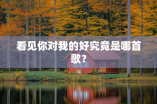 看见你对我的好究竟是哪首歌？
