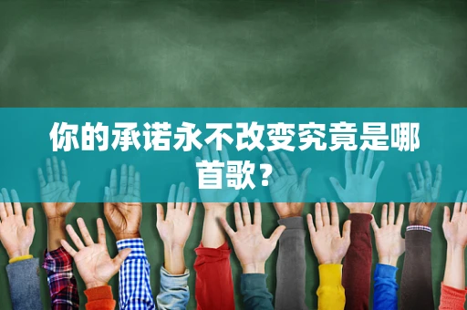 你的承诺永不改变究竟是哪首歌？