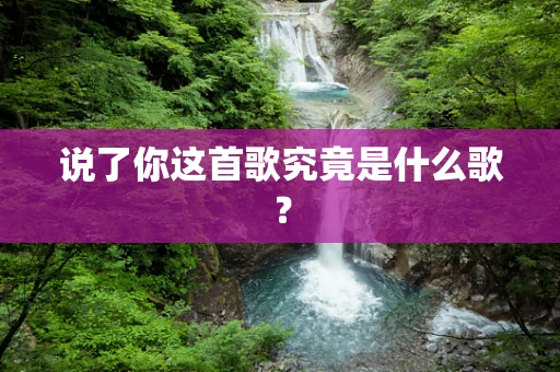 说了你这首歌究竟是什么歌？