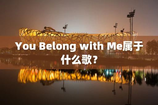 You Belong with Me属于什么歌？