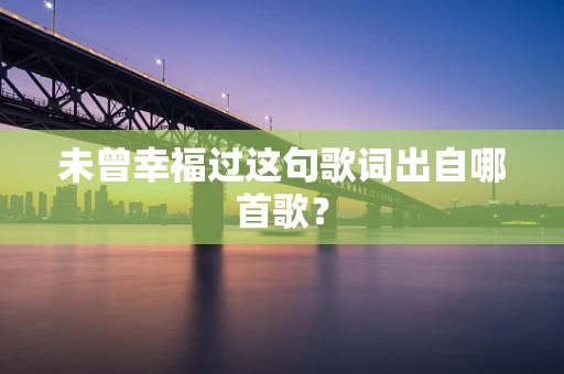 未曾幸福过这句歌词出自哪首歌？