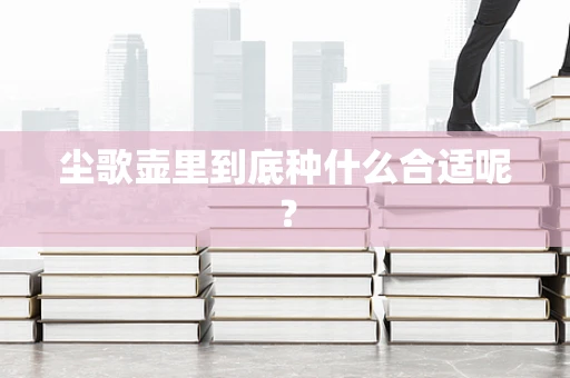 尘歌壶里到底种什么合适呢？