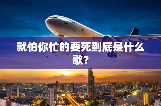 就怕你忙的要死到底是什么歌？